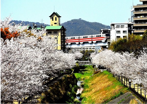 kitakyushu-monorail-country-city.jpg