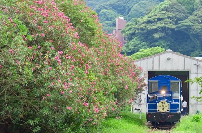 siokazego-mojiko-train.jpg